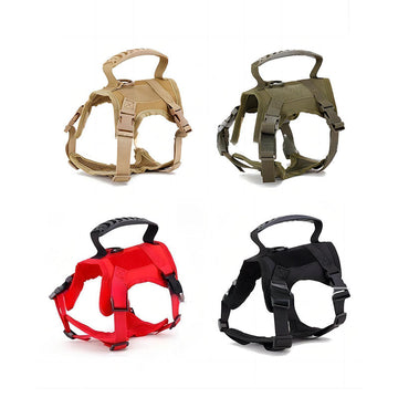 Dog Harness and Leash