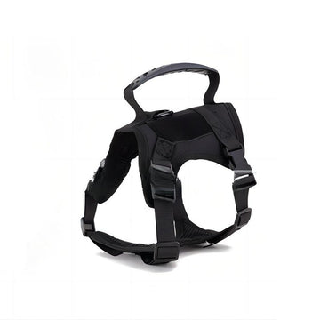 Dog Harness and Leash