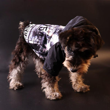 Dog Apparel - Colorful Reflective Warm Dog Coat