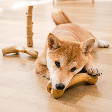 Chewy Toys-Dog Wooden  Bone Toy