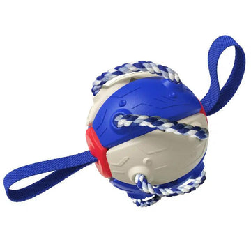 Dog Balls-Soccer Ball
