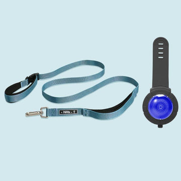 Dog Leash - Blue Running Leash