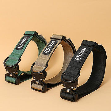 Dog  Collar - Large Dog Collar