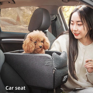 Dog Bed - Dog Sitting In The Car
