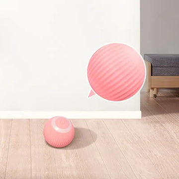 Dog Balls-Automatic Rolling Ball