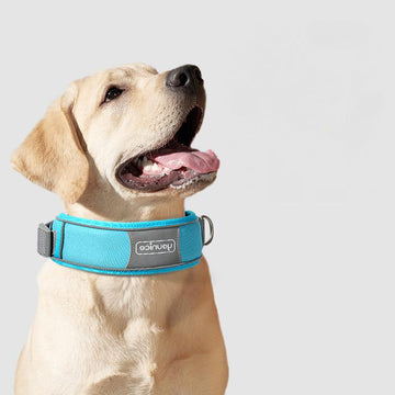 Dog Collar - Large Dog Collar