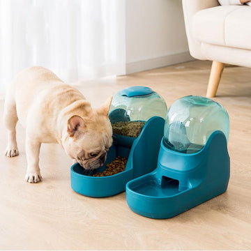 Dog Feeder - Pet Automatic Feeder & Drinker