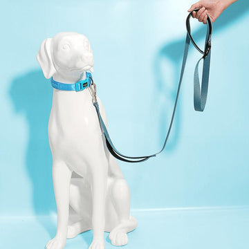 Dog Leash - Running Leash