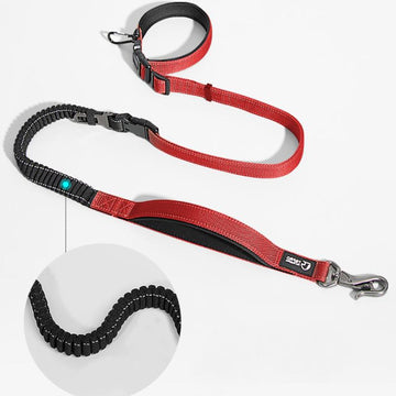 Dog Leash -  Large Dog Running Leash
