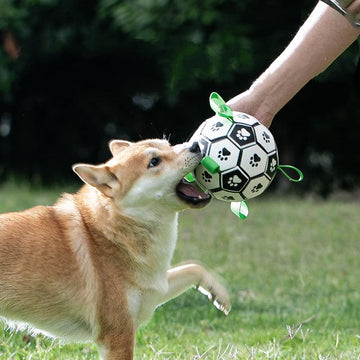 Dog Balls-Soccer Ball