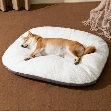 Removable And Washable Dog Mat