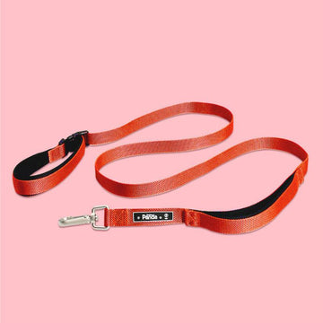 Dog Leash - Red Running Leash