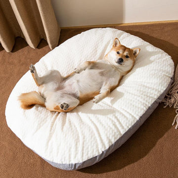 Removable And Washable Dog Mat